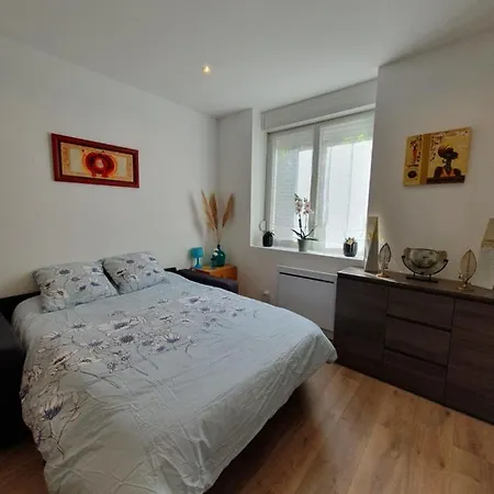 Savane Apartment Nancy