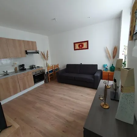 Appartement Savane Nancy