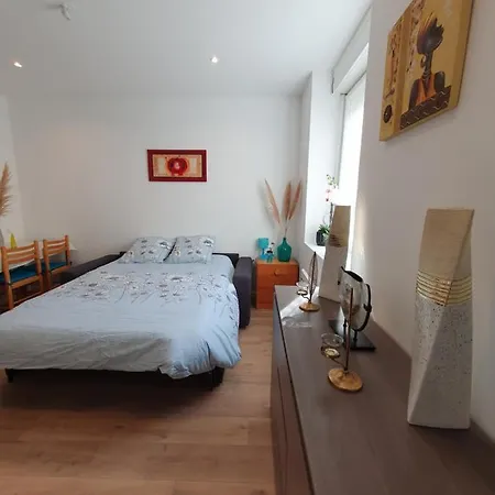 Savane Appartement Nancy